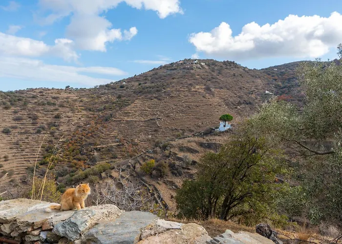 Διαμέρισμα The Castle House Kea